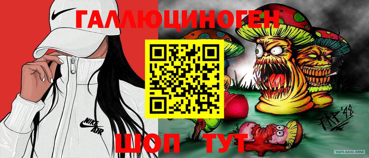 Клин  Галлюциногенные грибы Psilocybe  Вход с VPN  Галлюциногенные грибы мухоморы 